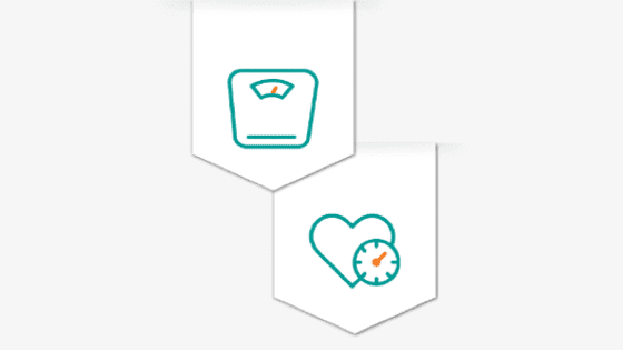 Weighing Scales and Heart Blood Pressure Icon